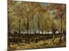 Poplars, 1885-Vincent van Gogh-Mounted Giclee Print