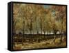 Poplars, 1885-Vincent van Gogh-Framed Stretched Canvas