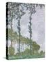 Poplars, 1891-Claude Monet-Stretched Canvas