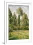 Poplars, Éragny, 1895-Camille Pissarro-Framed Giclee Print