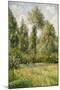 Poplars, Éragny, 1895-Camille Pissarro-Mounted Giclee Print