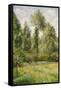 Poplars, Éragny, 1895-Camille Pissarro-Framed Stretched Canvas