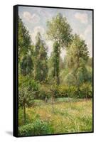 Poplars, Éragny, 1895-Camille Pissarro-Framed Stretched Canvas