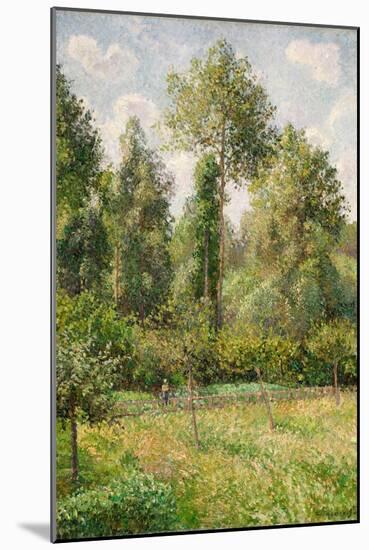 Poplars, Eragny-Camille Pissarro-Mounted Art Print