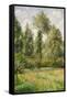 Poplars, Eragny-Camille Pissarro-Framed Stretched Canvas
