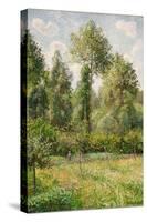 Poplars, Eragny-Camille Pissarro-Stretched Canvas