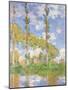 Poplars in the Sun, 1891-Claude Monet-Mounted Premium Giclee Print