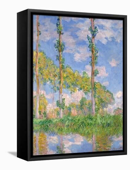 Poplars in the Sun, 1891-Claude Monet-Framed Stretched Canvas