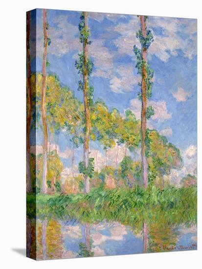 Poplars in the Sun, 1891-Claude Monet-Stretched Canvas