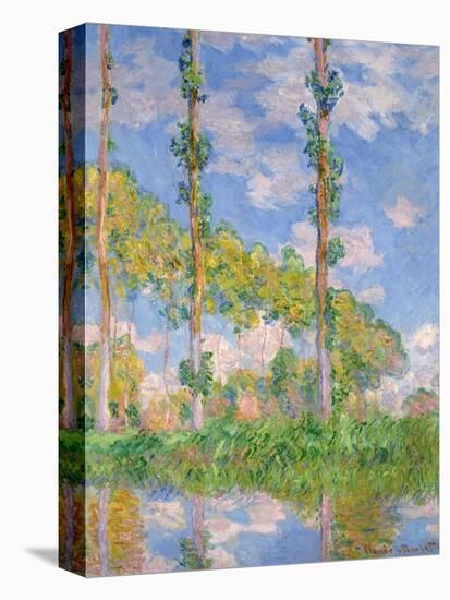 Poplars in the Sun, 1891-Claude Monet-Stretched Canvas