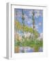 Poplars in the Sun, 1891-Claude Monet-Framed Giclee Print