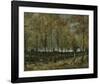 Poplars near Nuenen, 1885-Vincent van Gogh-Framed Giclee Print