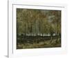 Poplars near Nuenen, 1885-Vincent van Gogh-Framed Giclee Print