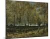 Poplars near Nuenen, 1885-Vincent van Gogh-Mounted Giclee Print