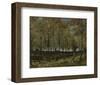 Poplars near Nuenen, 1885-Vincent van Gogh-Framed Art Print