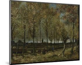 Poplars near Nuenen, 1885-Vincent van Gogh-Mounted Art Print