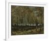 Poplars near Nuenen, 1885-Vincent van Gogh-Framed Art Print