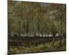 Poplars near Nuenen, 1885-Vincent van Gogh-Mounted Art Print