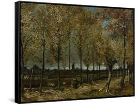 Poplars Near Nuenen, 1885-Vincent van Gogh-Framed Stretched Canvas
