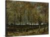 Poplars Near Nuenen, 1885-Vincent van Gogh-Stretched Canvas