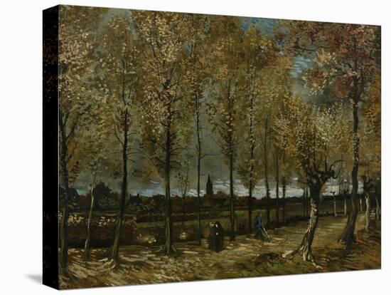 Poplars Near Nuenen, 1885-Vincent van Gogh-Stretched Canvas