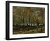 Poplars Near Nuenen, 1885-Vincent van Gogh-Framed Giclee Print