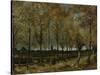 Poplars Near Nuenen, 1885-Vincent van Gogh-Stretched Canvas