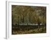 Poplars Near Nuenen, 1885-Vincent van Gogh-Framed Giclee Print