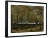 Poplars Near Nuenen, 1885-Vincent van Gogh-Framed Giclee Print