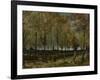 Poplars Near Nuenen, 1885-Vincent van Gogh-Framed Giclee Print