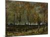 Poplars Near Nuenen, 1885-Vincent van Gogh-Mounted Giclee Print