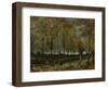 Poplars Near Nuenen, 1885-Vincent van Gogh-Framed Giclee Print