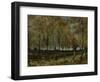 Poplars Near Nuenen, 1885-Vincent van Gogh-Framed Giclee Print