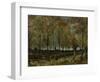 Poplars Near Nuenen, 1885-Vincent van Gogh-Framed Giclee Print