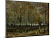 Poplars Near Nuenen, 1885-Vincent van Gogh-Mounted Giclee Print