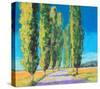 Poplars Normandy II-null-Stretched Canvas