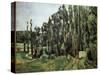 Poplars - Oil on Canvas, 1879-1882-Paul Cezanne-Stretched Canvas