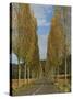 Poplars on Both Sides of an Empty Rural Road Near St. Mont, Les Landes, Aquitaine, France, Europe-Michael Busselle-Stretched Canvas