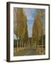 Poplars on Both Sides of an Empty Rural Road Near St. Mont, Les Landes, Aquitaine, France, Europe-Michael Busselle-Framed Photographic Print
