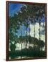 Poplars on the Epte, 1891-Claude Monet-Framed Giclee Print
