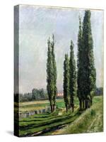 Poplars on the Riverbank at Argenteuil-Gustave Caillebotte-Stretched Canvas