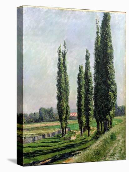 Poplars on the Riverbank at Argenteuil-Gustave Caillebotte-Stretched Canvas