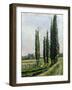 Poplars on the Riverbank at Argenteuil-Gustave Caillebotte-Framed Giclee Print