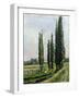 Poplars on the Riverbank at Argenteuil-Gustave Caillebotte-Framed Giclee Print