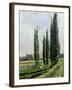 Poplars on the Riverbank at Argenteuil-Gustave Caillebotte-Framed Giclee Print