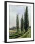 Poplars on the Riverbank at Argenteuil-Gustave Caillebotte-Framed Giclee Print