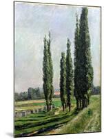 Poplars on the Riverbank at Argenteuil-Gustave Caillebotte-Mounted Giclee Print