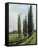 Poplars on the Riverbank at Argenteuil-Gustave Caillebotte-Framed Stretched Canvas