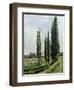 Poplars on the Riverbank at Argenteuil-Gustave Caillebotte-Framed Giclee Print