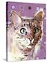 Poppet Cat I-Ken Hurd-Stretched Canvas